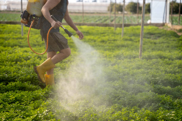 Pest Prevention Services in North Augusta, SC