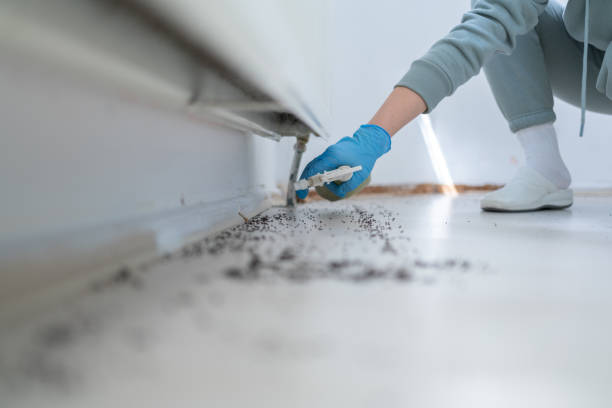 Best Pest Prevention Services  in North Augusta, SC